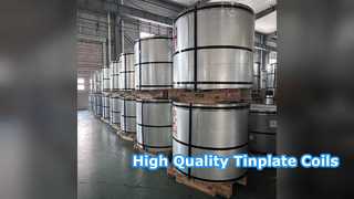 Premium Electrolytic Tinplate Coil for Food Cans