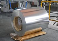 T3CA T57 T53 T61 TH415 TH550 Electrolytic Tinplate For Can Components TINPLATE COILS SHEETS