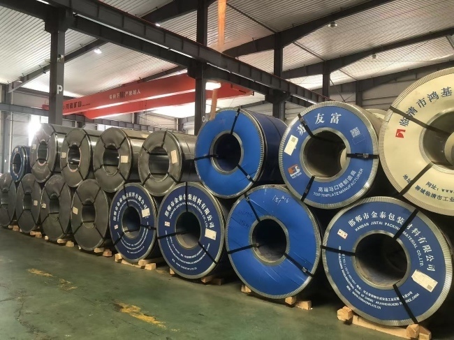 High-Performance DR9 Electrolytic Tin Plate Coils for Food Can Manufacturing - Multiple Widths Available