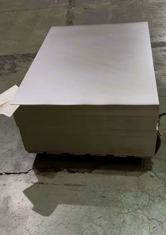 Premium Electrolytic Tin Plate (ETP) for Food Can Ends & Lids - Alkali & Rust Resistant